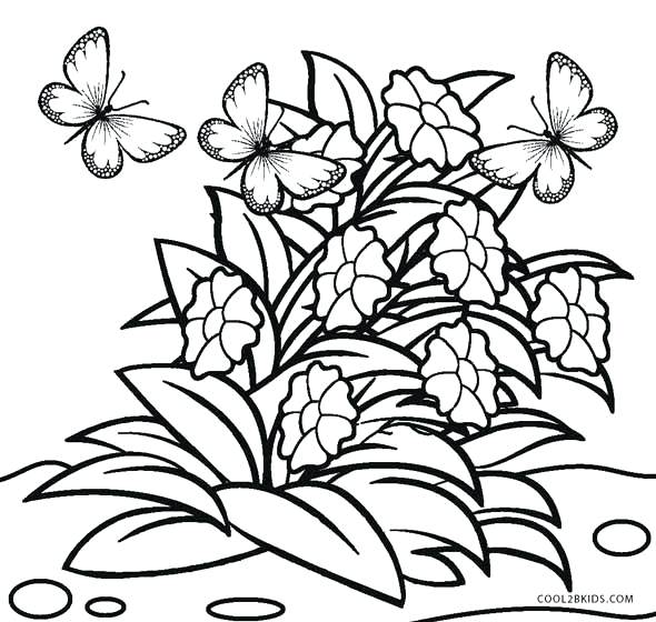 590x560 spring flowers drawing at free for personal use put spring flowers - Flower Drawing Pages
