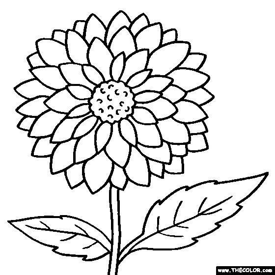 560x560 Coloring Pages Flower Coloring Pages Color Flowers, Pictures - Flower Drawing Pages