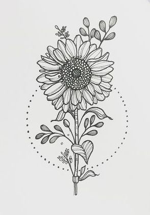 294x422 Flowers Drawings Instagram Darren - Flower Drawing Pinterest