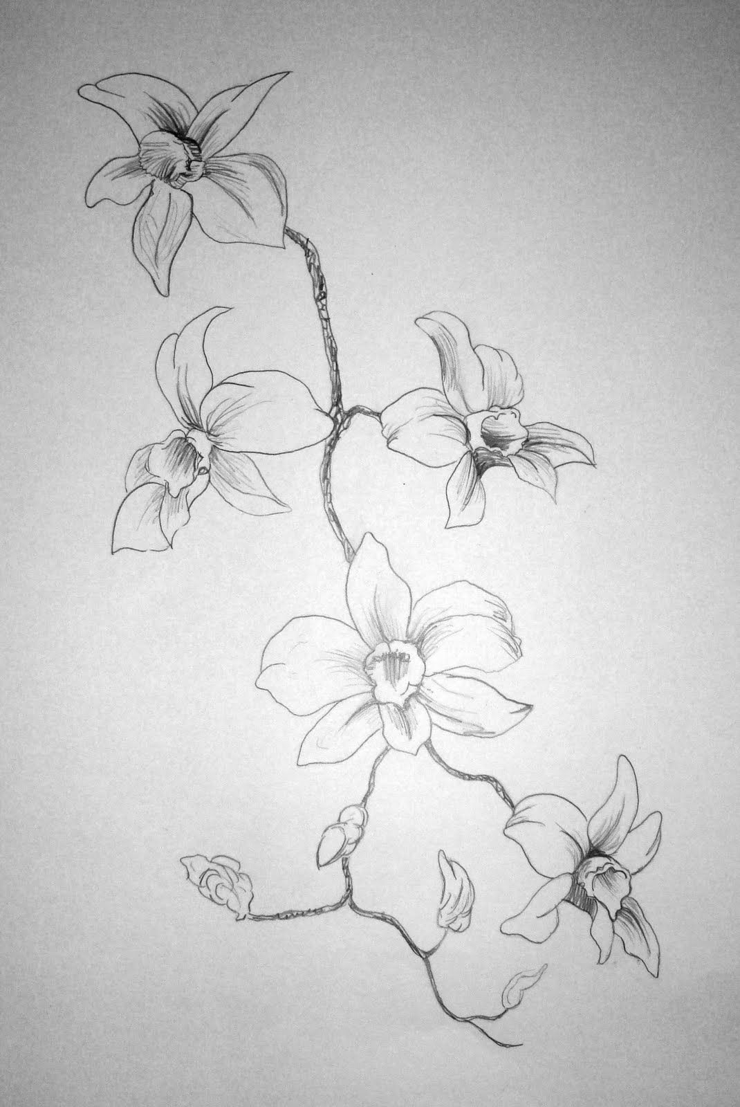 Flower Drawing Pinterest at PaintingValley.com | Explore collection of ...