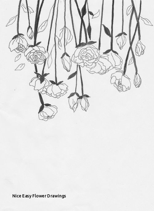 500x684 Nice Easy Flower Drawings Best How To Draw Tutorials Flowers - Flower Drawing Pinterest