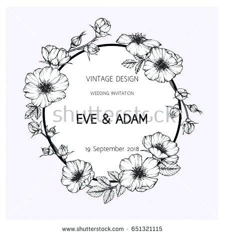 450x470 rose frame drawing wild dog rose flowers frame with butterfly - Flower Drawing Pinterest