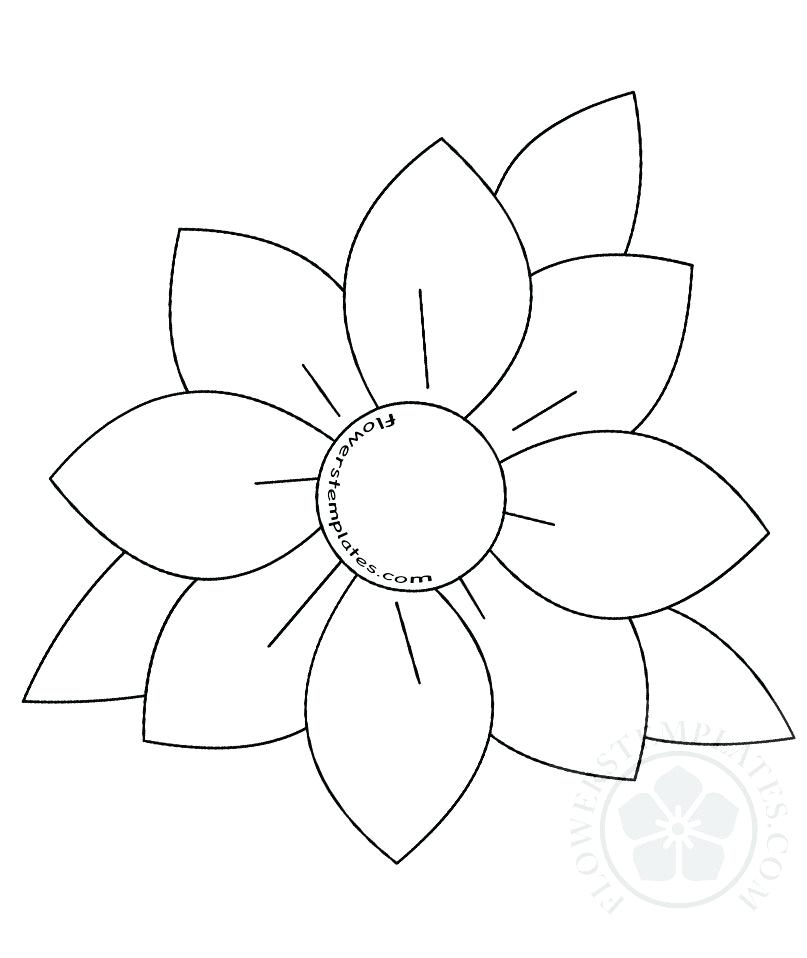 807x958 Paper Flower Drawing - Flower Drawing Template