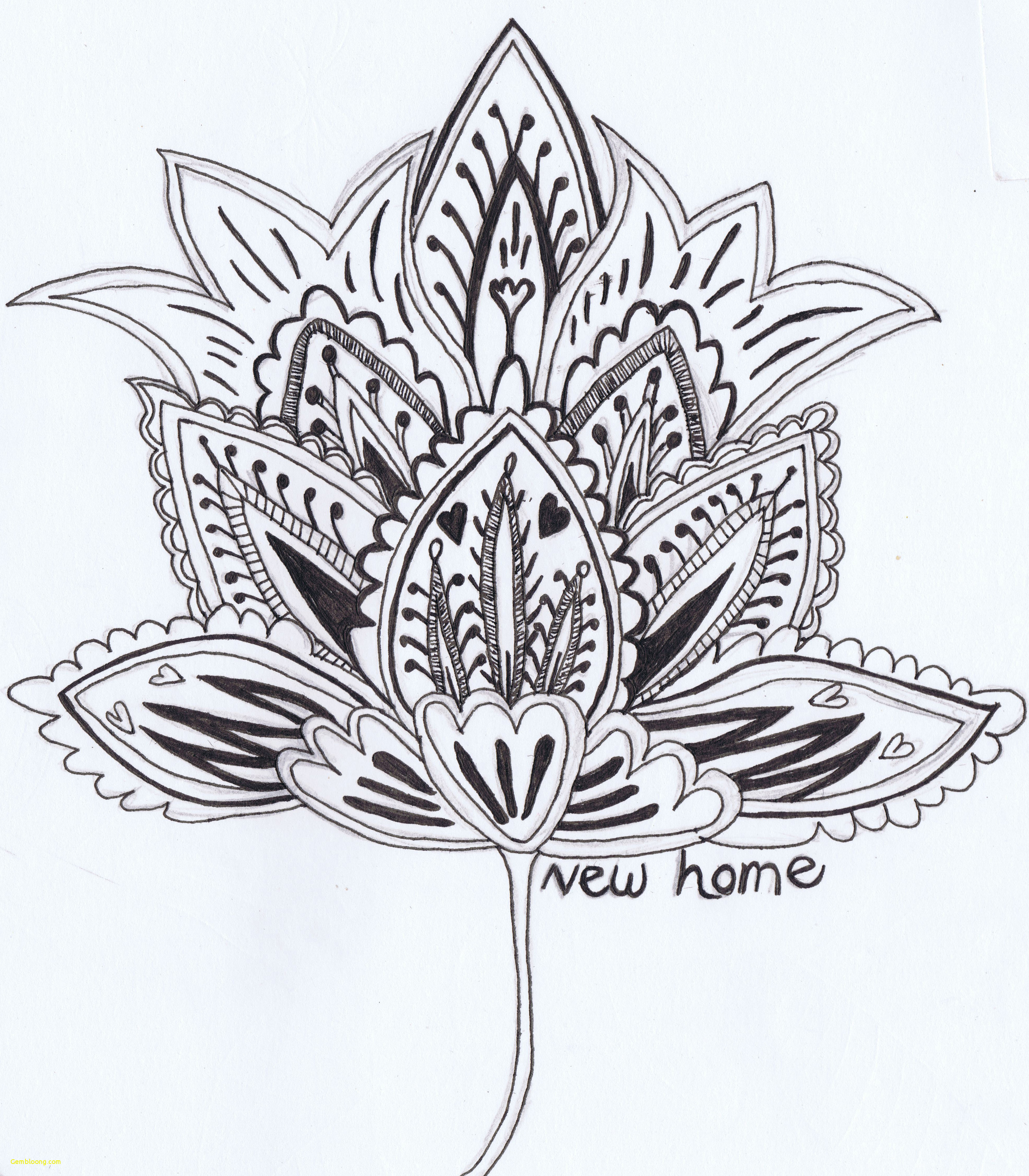 3934x4496 Pencil Drawings Tumblr Good Beautiful Flower Drawing - Flower Drawing Tumblr