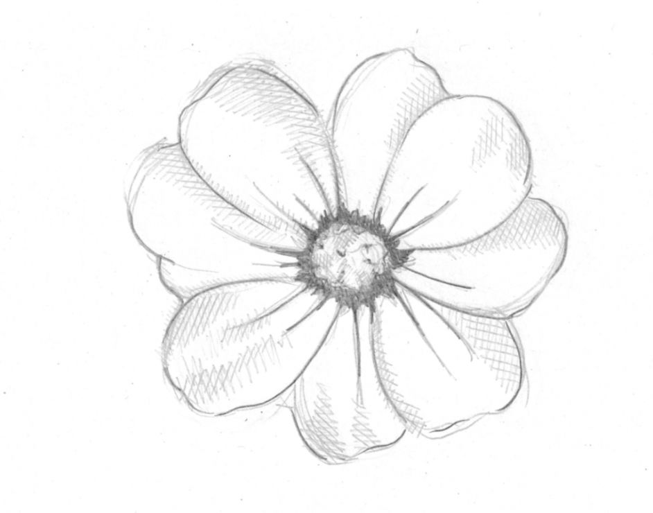 942x740 Tumblr Drawing Flowers - Flower Drawing Tumblr