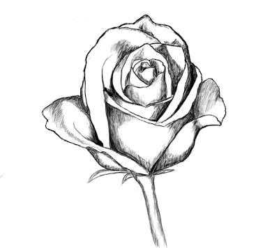 400x356 Flower Drawings With Color For Kids Tumblr In Black And White - Flower Drawing Tumblr Easy