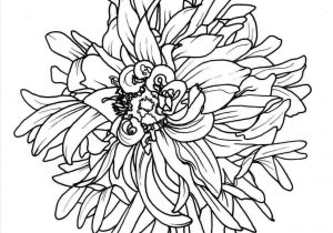 300x210 Tumblr Drawings Easy Flowers - Flower Drawing Tumblr Easy