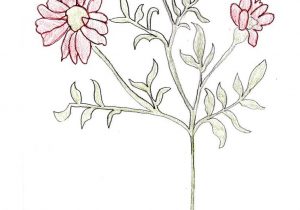 300x210 Tumblr Drawings Flower Easy Drawing Tumblr - Flower Drawing Tumblr Easy