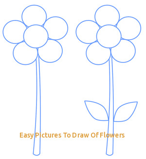 300x326 Easy Pictures To Draw Of Flowers Flower Drawings With Color - Flower Drawing Tumblr Easy