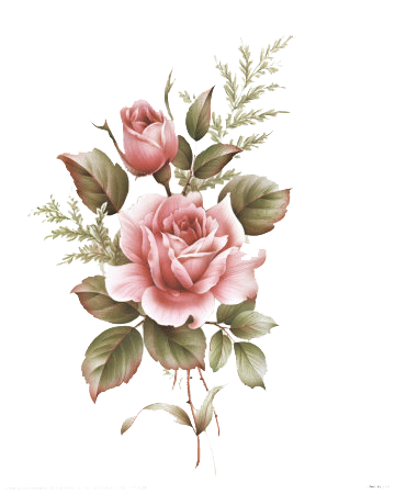 360x450 flower drawing tumblr transparent png clipart free download - Flower Drawing Tumblr Transparent
