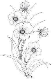 186x271 Image Result For Tumblr Transparents Black And White Flowers My - Flower Drawing Tumblr Transparent