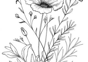 300x210 tumblr drawings flowers eleletsitz transparent flower drawing - Flower Drawing Tumblr Transparent
