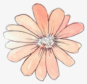 300x291 tumblr flower png, transparent tumblr flower png image free - Flower Drawing Tumblr Transparent