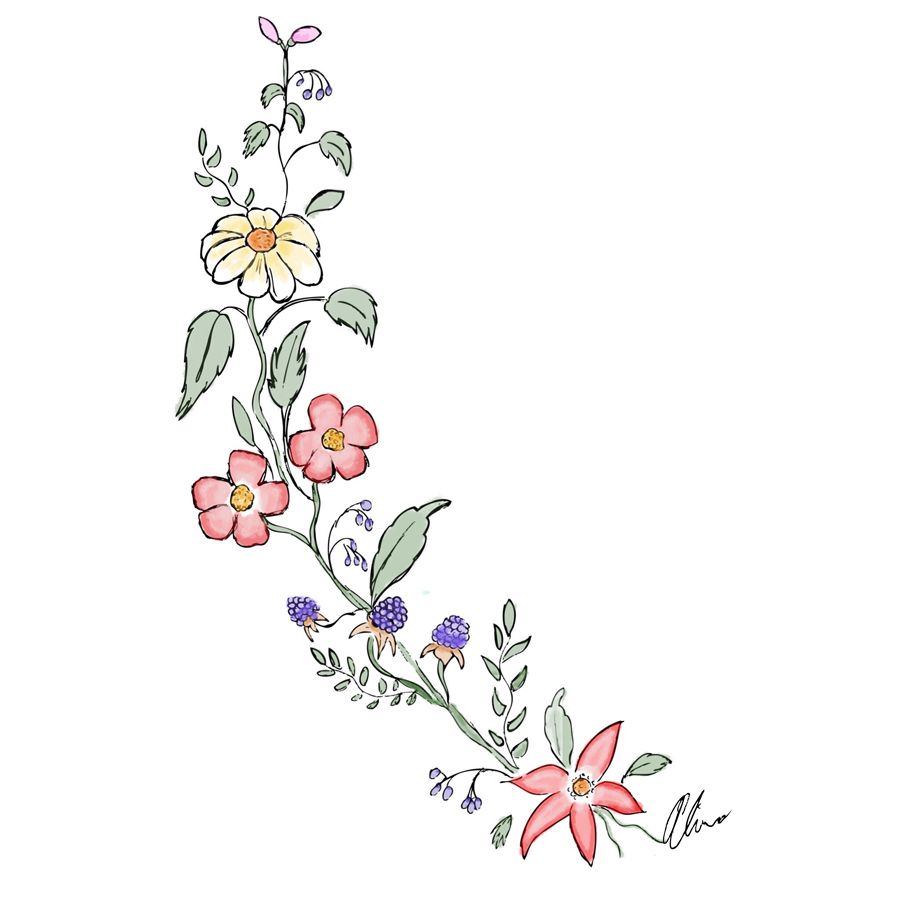 900x900 tumblr transparent flower drawing captured flower drawing - Flower Drawing Tumblr Transparent