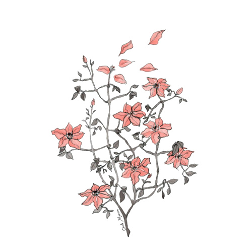 500x500 Arabella Artsy Art In Flower Drawing Tumblr, Tumblr - Flower Drawing Tumblr Transparent