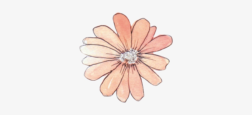 820x375 Daisy Tumblr Banner Download - Flower Drawing Tumblr Transparent