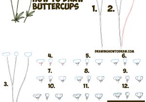 300x210 Flower Drawing Archives - Flower Drawing Tutorial