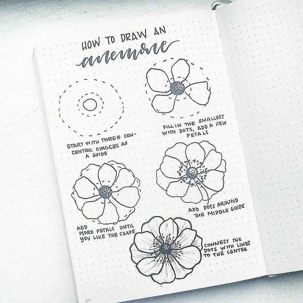1024x1024 How To Draw Easy Flower Doodles For Bullet Journal Spreads - Flower Drawing Tutorial