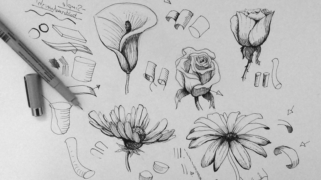 1024x575 Realistic Flower Drawing Tutorial - Flower Drawing Tutorial