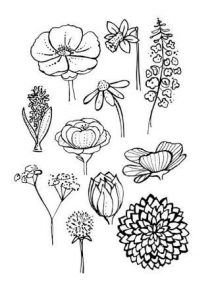 212x300 Free Simple Line Drawings Vector Flower Line Illustrations - Flower Drawing Vector