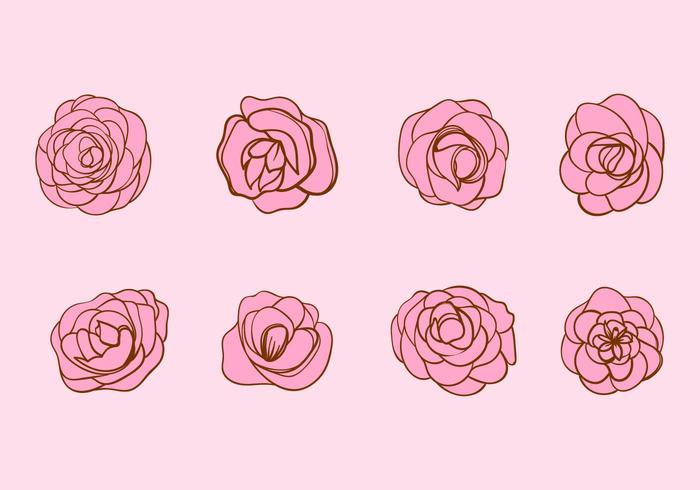 700x490 Hand Drawn Camellia Flower Vector - Flower Drawing Vector