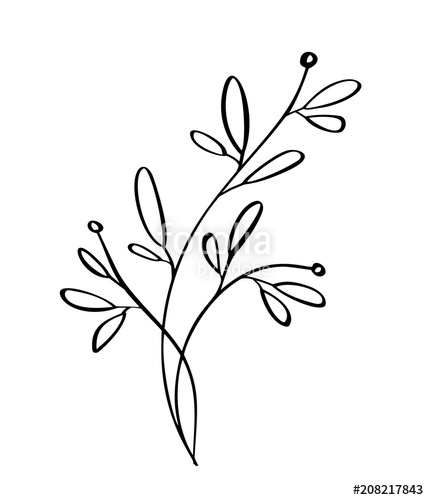 429x500 Hand Drawn Modern Flowers Drawing And Sketch Floral With Line Art - Flower Drawing Vector