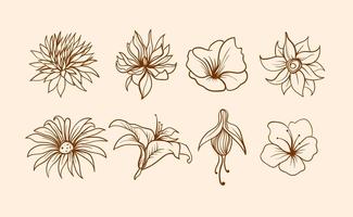 325x200 Flowers Free Vector Art - Flower Drawing Vector