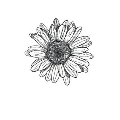 499x499 Draw, Flower, Wallpaper, Black White - Flower Drawing Wallpaper