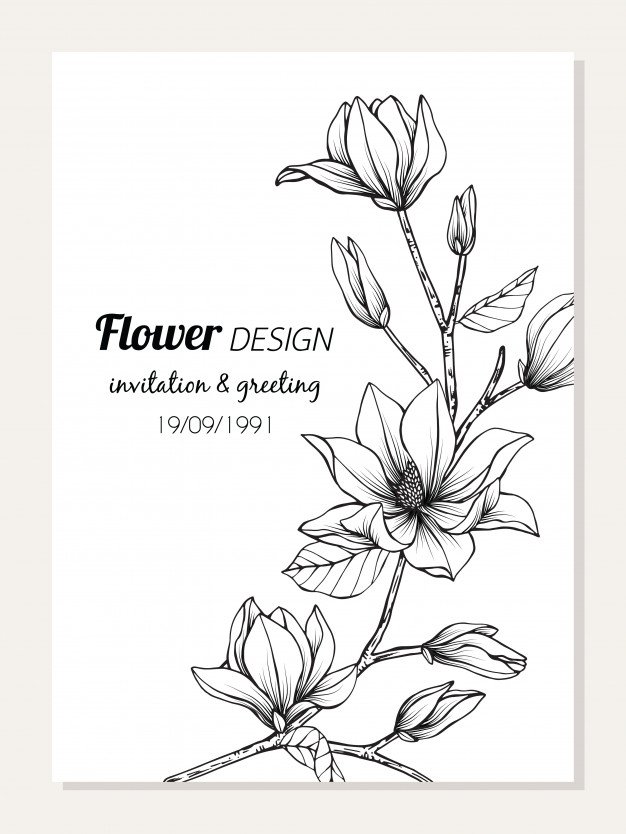 626x834 magnolia flower frame drawing vector premium download - Flower Frame Drawing