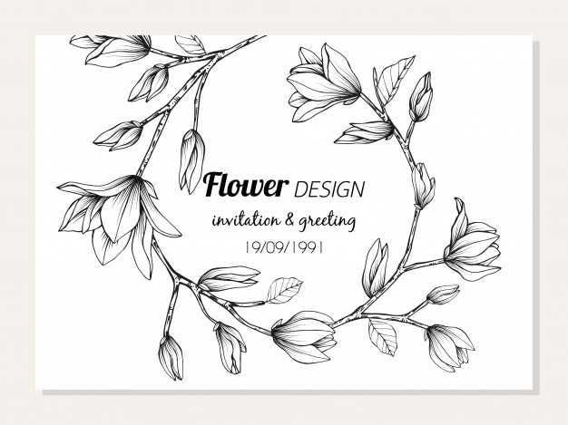 626x469 magnolia flower frame drawing illustration for card design vector - Flower Frame Drawing