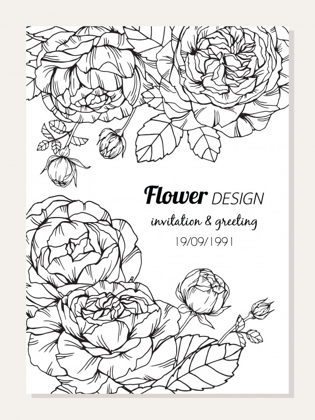 626x834 rose flower frame drawing illustration for card design vector - Flower Frame Drawing