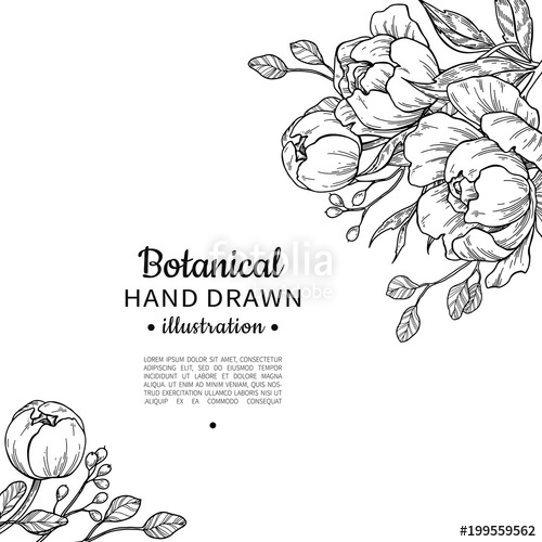 500x500 vintage flower vector frame drawing peony, rose, leaves and ber - Flower Frame Drawing