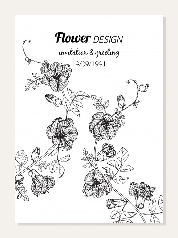 626x834 butterfly pea flower frame drawing illustration vector premium - Flower Frame Drawing