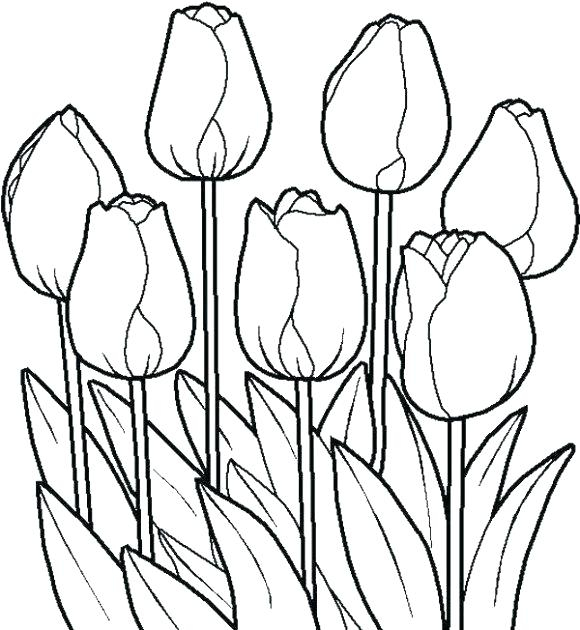 580x630 flower garden coloring pages flower garden drawing black and white - Flower Garden Drawing