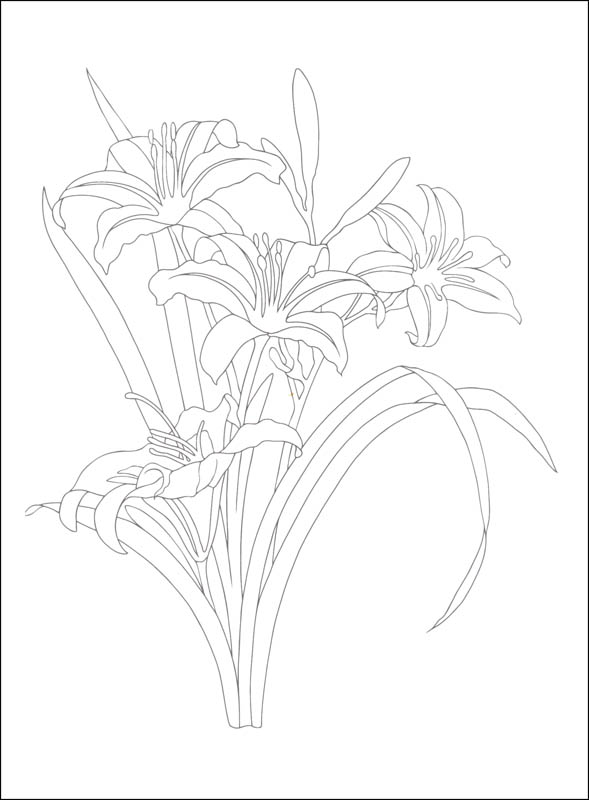 589x800 How To Draw A Garden Of Flowers Sistem As Corpecol - Flower Garden Drawing