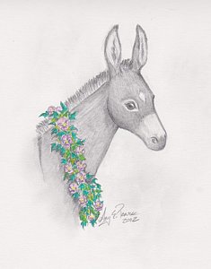 235x300 flower garland drawings fine art america - Flower Garland Drawing