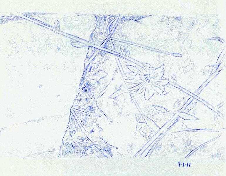 770x599 flower growing on roman road - Flower Growing Drawing