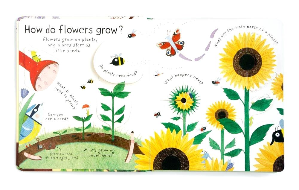 1000x635 How Do Flowers Grow Interior Of A Book About How Flowers Grow Do - Flower Growing Drawing
