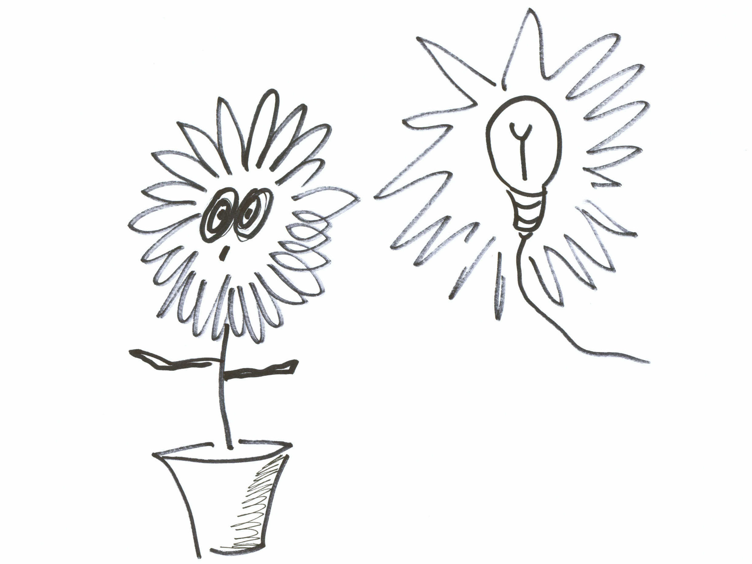 2465x1847 how to produce a billion flowers on the very same day radiolab - Flower Growing Drawing