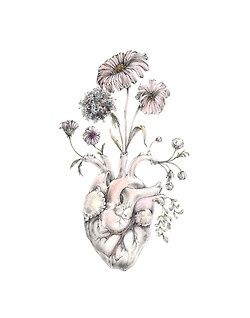 250x318 like this, but with a brain instead of a heart, blooming forget me - Flower Growing Drawing