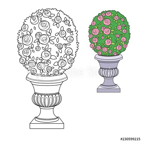 500x500 rose bush with flowers growing in a curly garden vase color - Flower Growing Drawing