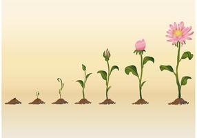 286x200 sprout free vector art - Flower Growing Drawing