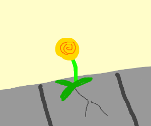 300x250 flower growing out of a sidewalk crack drawing - Flower Growing Drawing