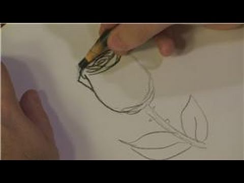 480x360 Drawing Plants Flowers How To Draw Easy Roses - Flower Growing Drawing