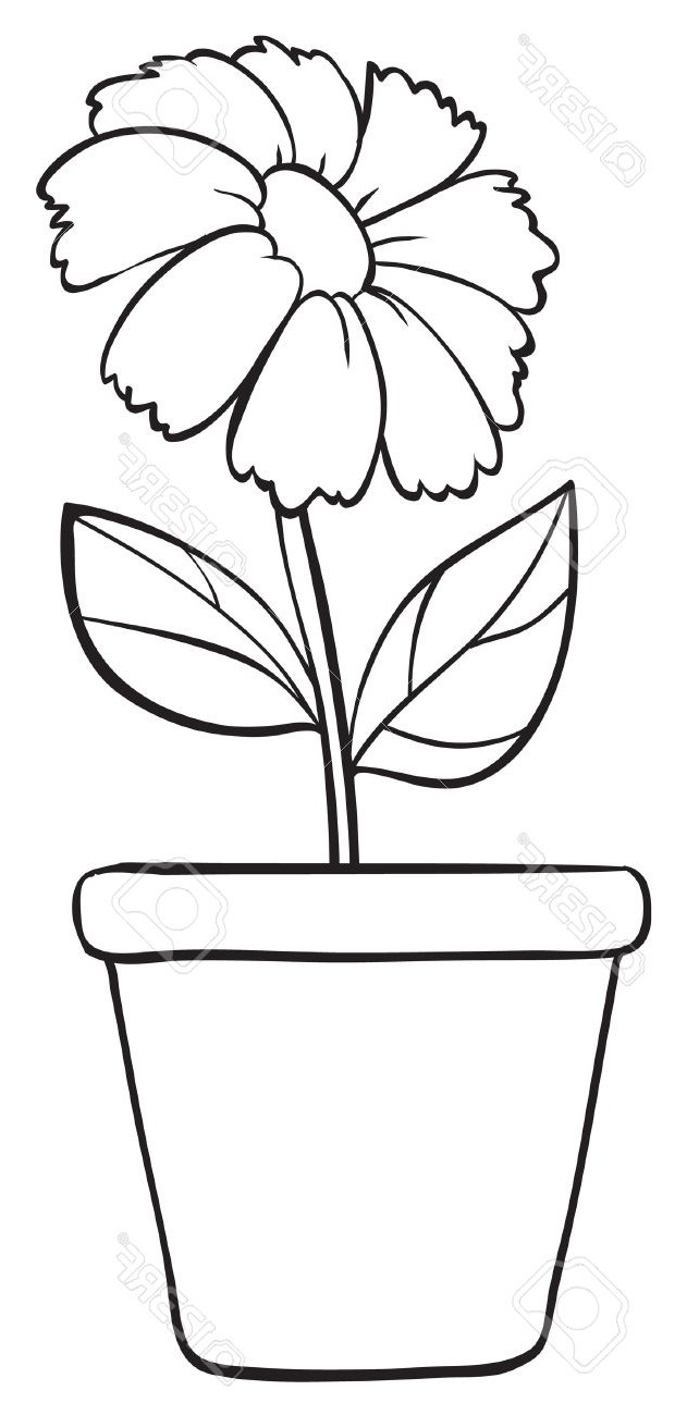 631x1300 Flower Pot Sketch Images - Flower In A Pot Drawing