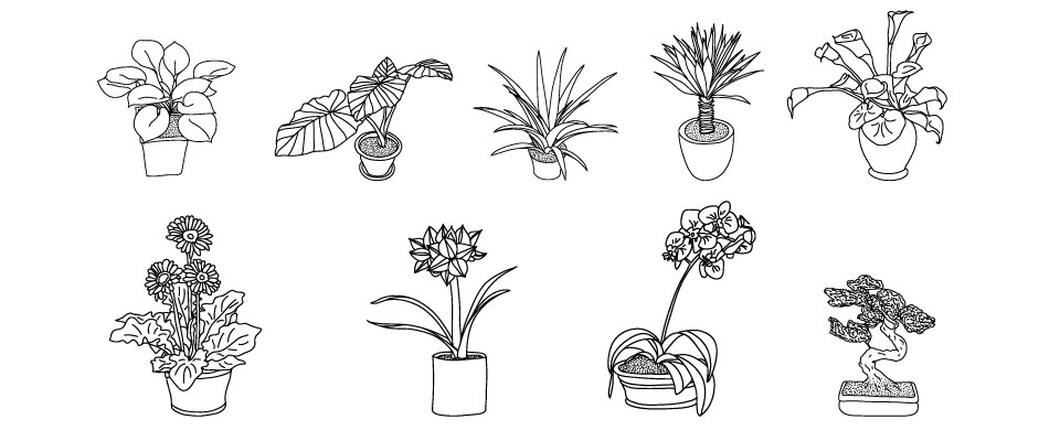 960x400 Flower Pots Drawing Images - Flower In A Pot Drawing