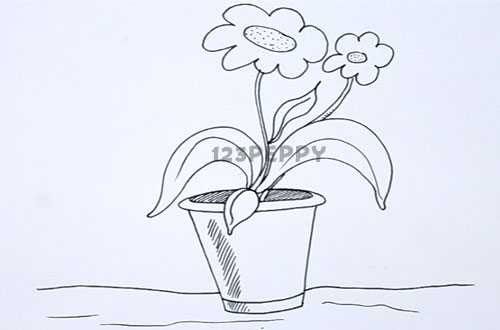 500x330 How To Draw Flower Pot - Flower In A Pot Drawing