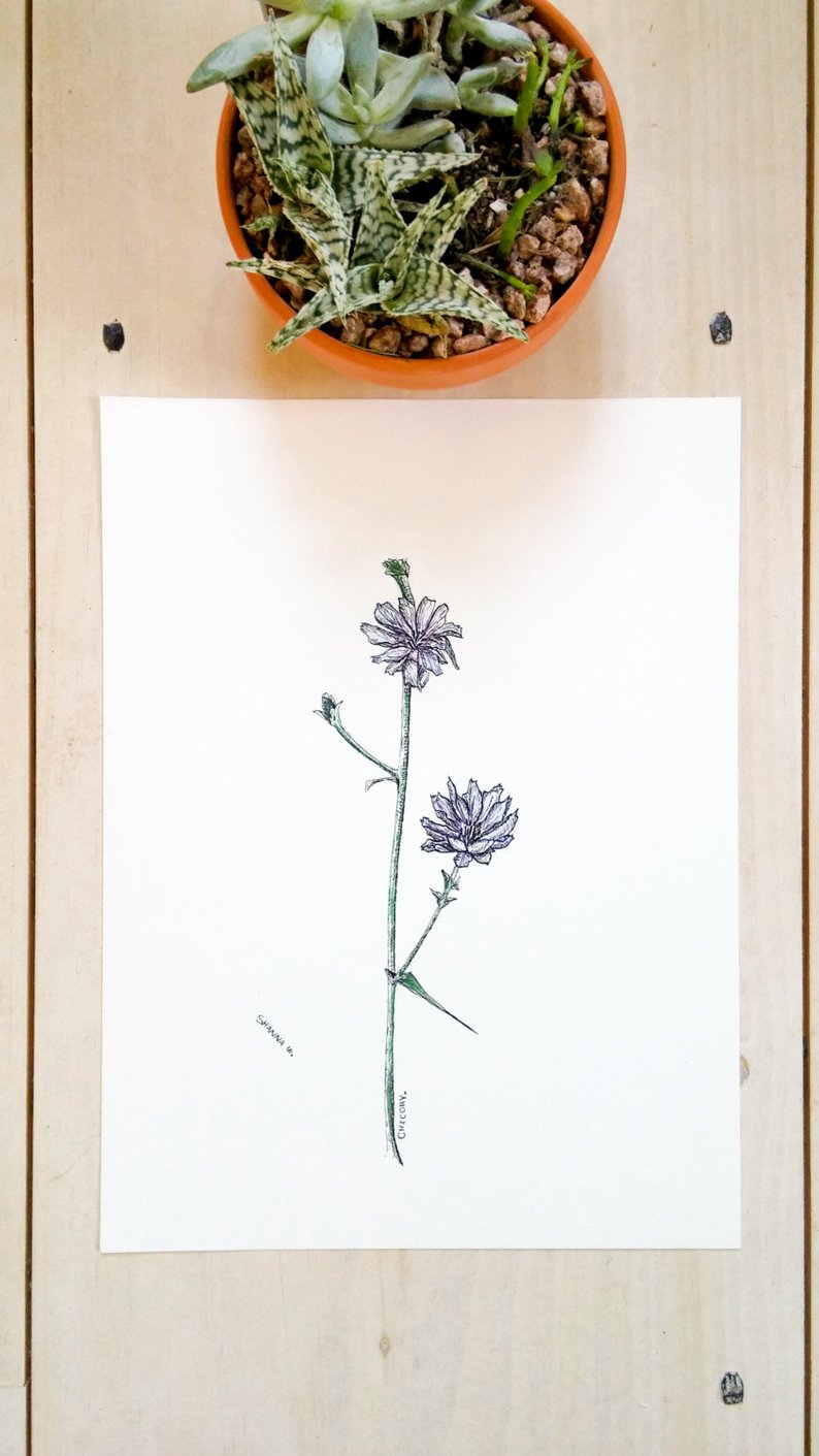 794x1411 flower ink drawing ink illustration watercolor and ink etsy - Flower Ink Drawing