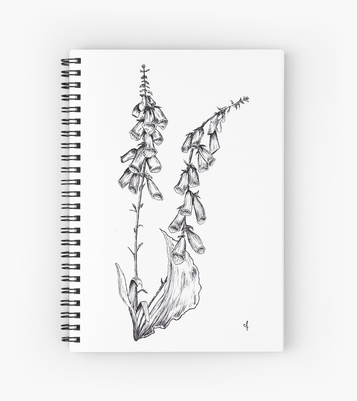 1171x1313 foxglove flower ink drawing spiral notebooks - Flower Ink Drawing