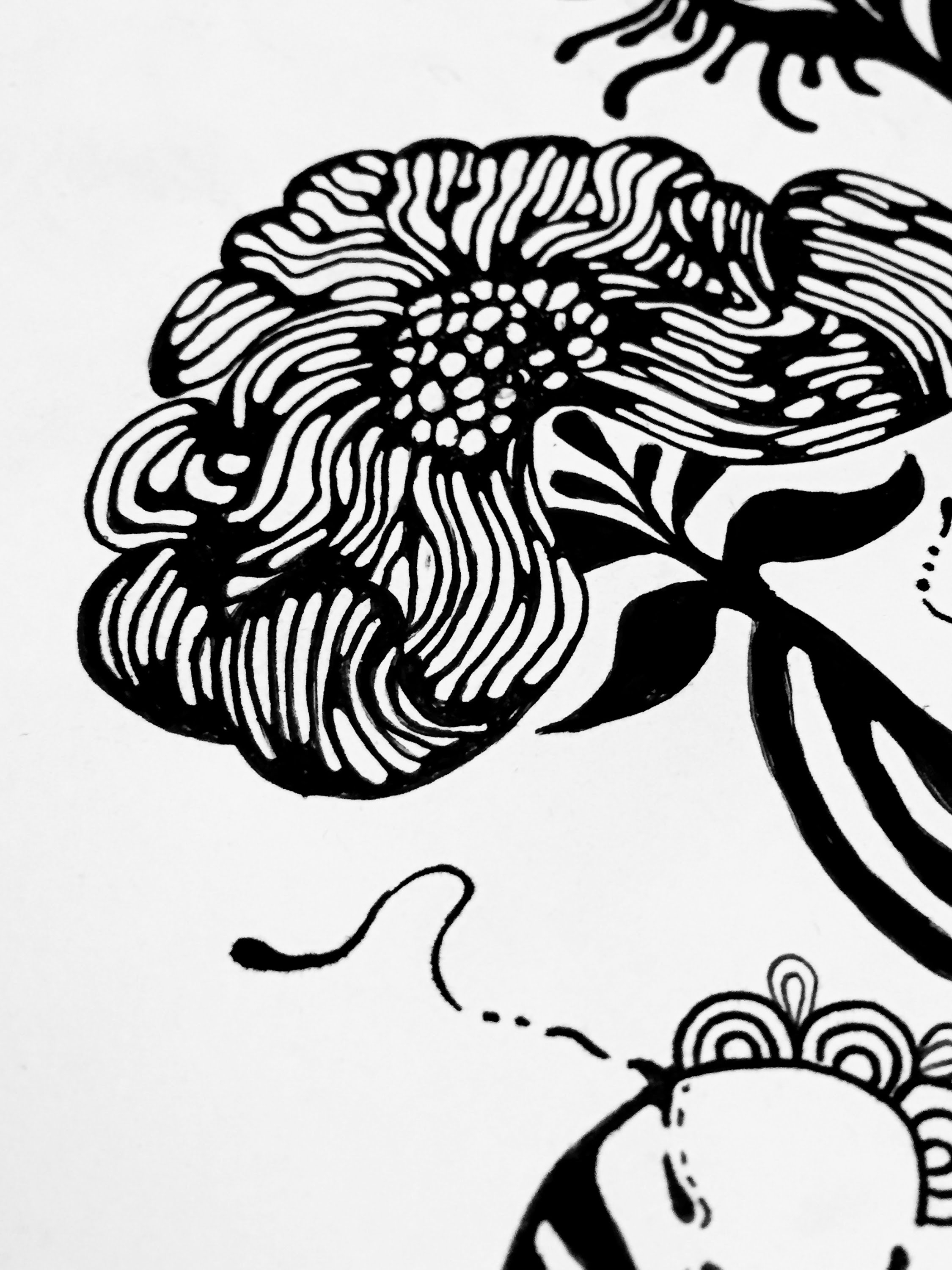 2250x3000 pen and ink drawings of flowers flower pen ink drawing - Flower Ink Drawing
